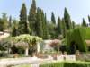 spainportugal2008176_small.jpg