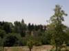 spainportugal2008177_small.jpg