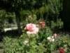 spainportugal2008178_small.jpg
