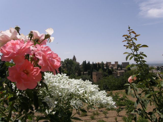 spainportugal2008181.jpg