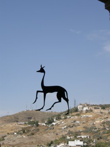 spainportugal2008223.jpg