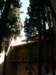 spainportugal2008234_small.jpg