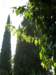 spainportugal2008255_small.jpg