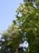 spainportugal2008263_small.jpg