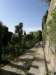 spainportugal2008269_small.jpg