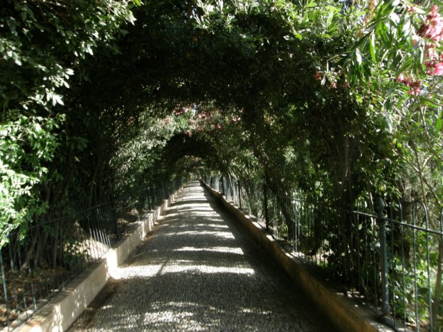 spainportugal2008305.jpg