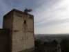 spainportugal2008331_small.jpg