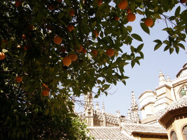 spainportugal200895.jpg