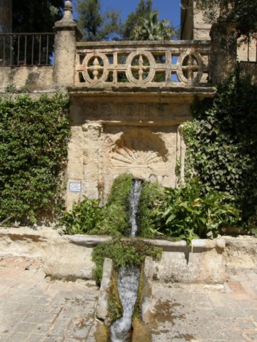 photo16.jpg