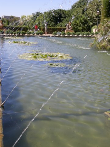 photo20.jpg
