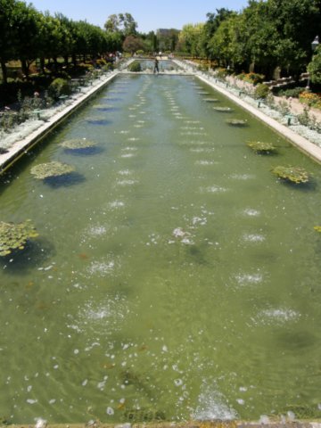 photo21.jpg