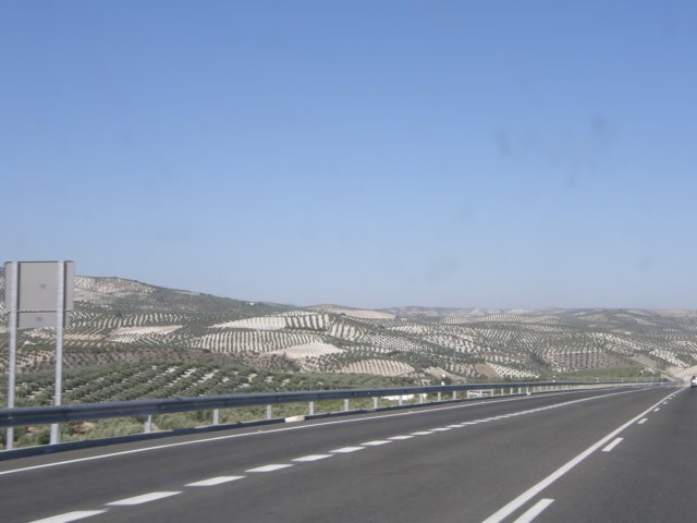 spainportugal2008.jpg