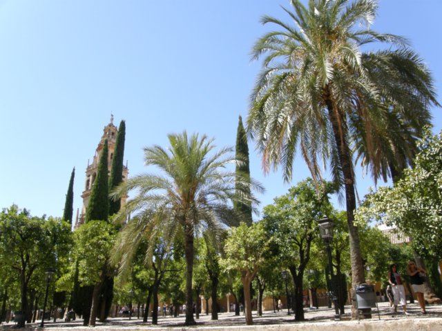 spainportugal2008147.jpg
