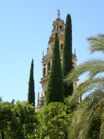 spainportugal2008148.jpg