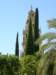 spainportugal2008148_small.jpg