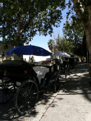 spainportugal2008166.jpg