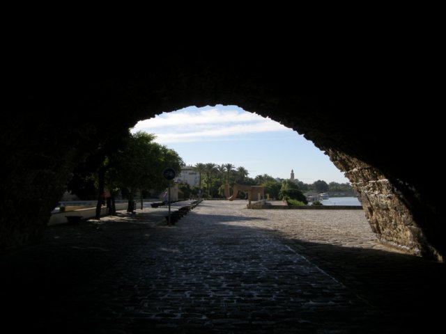 spainportugal2008194.jpg
