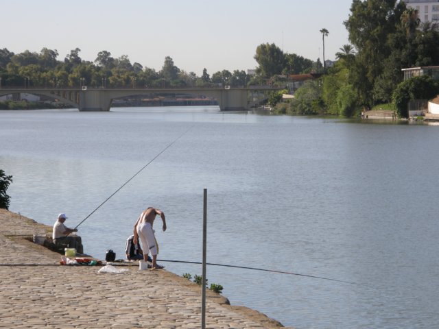 spainportugal2008196.jpg