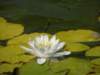 spainportugal200820_small.jpg