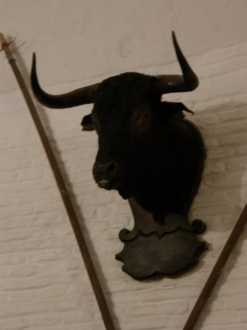 spainportugal2008223.jpg