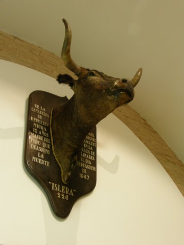 spainportugal2008233.jpg