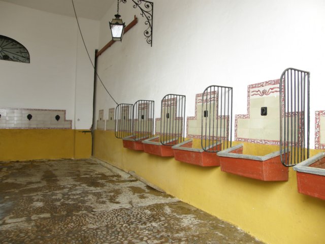 spainportugal2008238.jpg