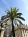 spainportugal2008262_small.jpg