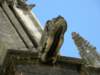 spainportugal2008268_small.jpg