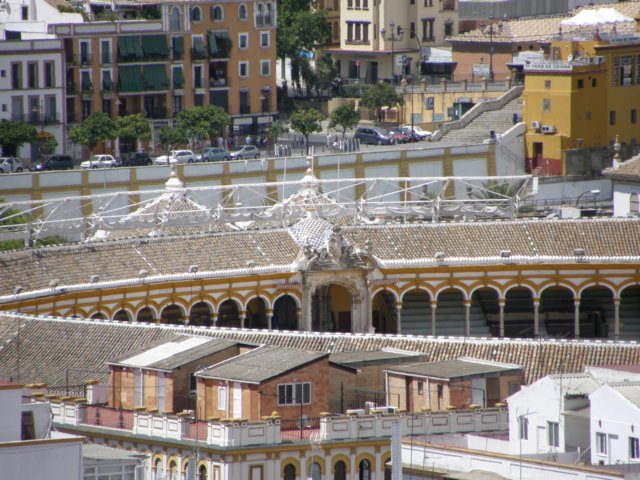 spainportugal2008341.jpg