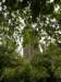 spainportugal2008355_small.jpg
