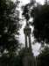 spainportugal2008367_small.jpg