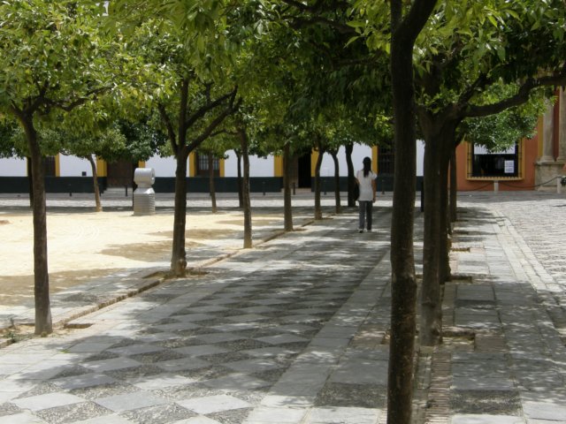 spainportugal2008375.jpg