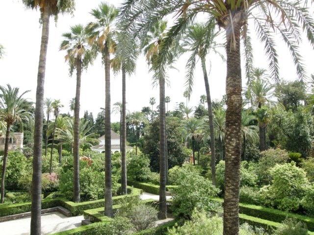 spainportugal2008434.jpg