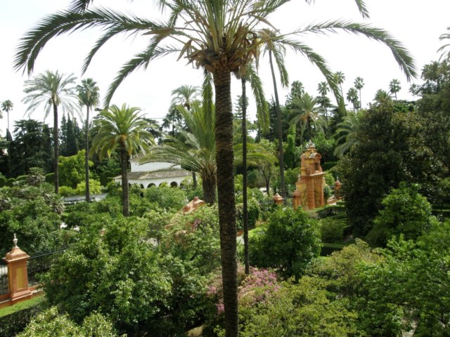 spainportugal2008436.jpg