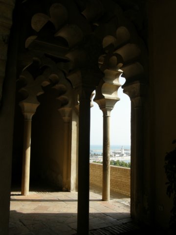 spainportugal2008106.jpg