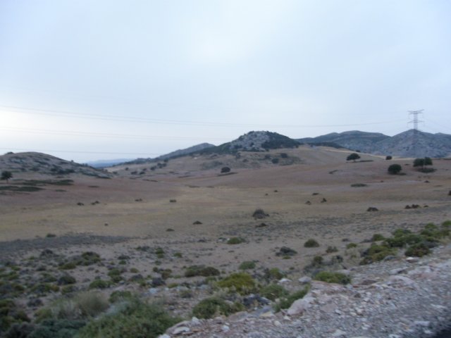 spainportugal2008115.jpg