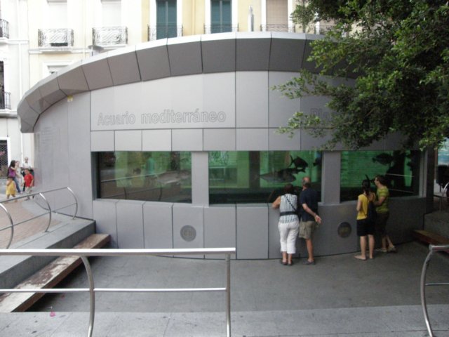 spainportugal2008139.jpg