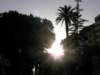 spainportugal2008145_small.jpg