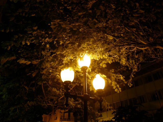 spainportugal2008162.jpg