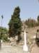 spainportugal200877_small.jpg