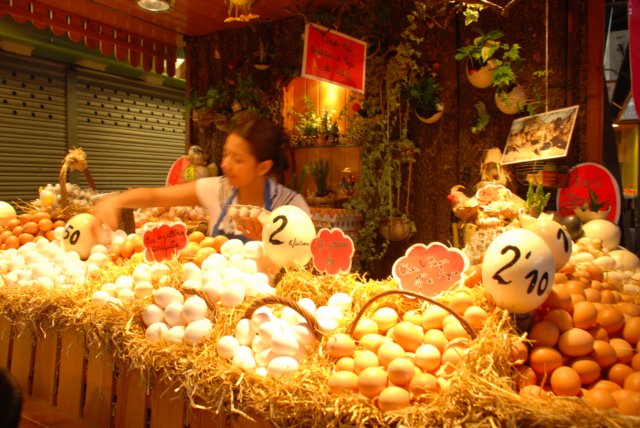 cspainportugal20089.jpg