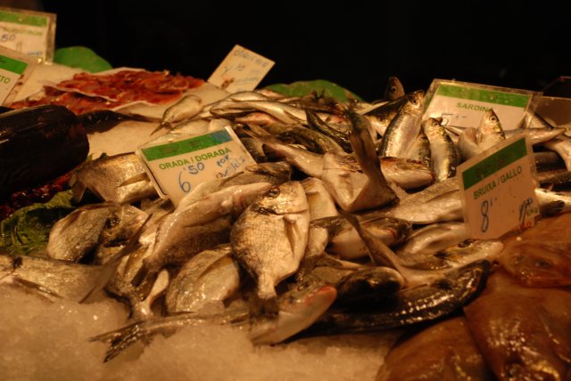 ispainportugal20084.jpg