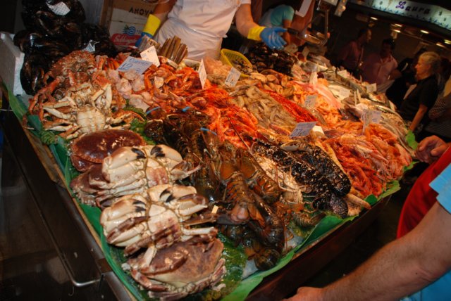 ospainportugal2008.jpg