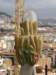 spainportugal2008101_small.jpg