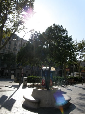 spainportugal200842.jpg