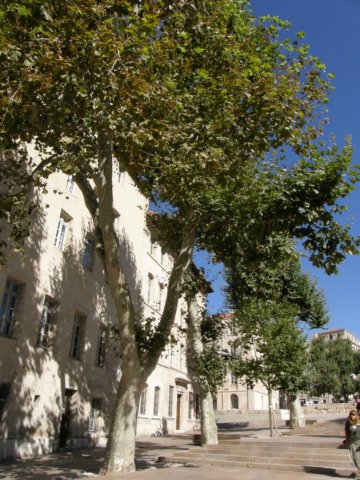 photo10.jpg