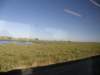 spainportugal2008140_small.jpg