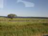 spainportugal2008141_small.jpg