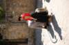 cspainportugal20085_small.jpg