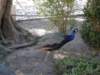 photo5_small.jpg